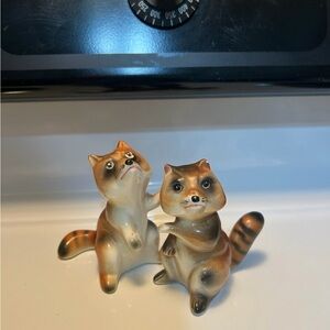 Raccoon salt and pepper shakers